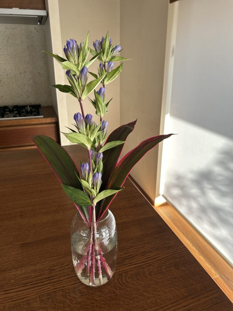 色と高さのバランス